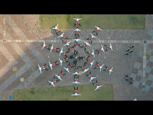 OK Go - I Won't Let You Down - Official Video class=