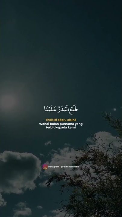 Thola'al badru | story wa sholawat