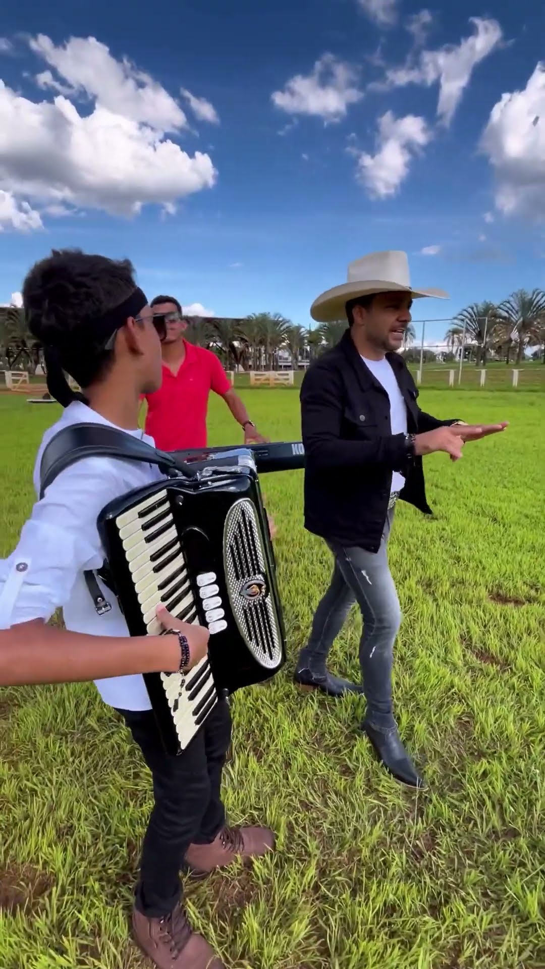 Daquele naipe leãozinho ao vivo #boanoiteee #leaozinho