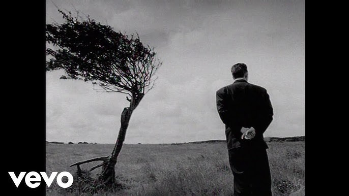 Black - Wonderful Life (Official Video) - YouTube
