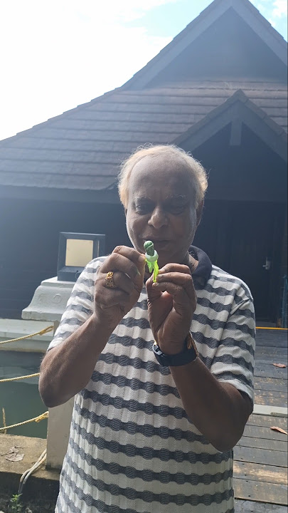 இதை சுத்தி சுத்தி சாப்பிட்ட வேண்டும் VIRAL #TRENDING #SHORTSVIDEO #SHORTSFEED