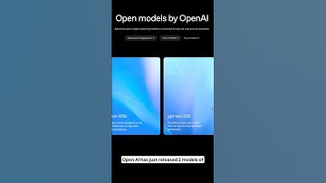 OpenAI Released Open-Source Models