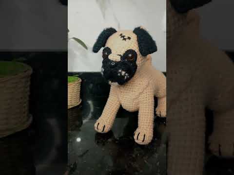 cachorro Pug de
