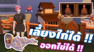 เลี้ยงไก่ได้แล้ว มีไข่ด้วยนะ The Sims 4 CHICKEN COOP YouTube