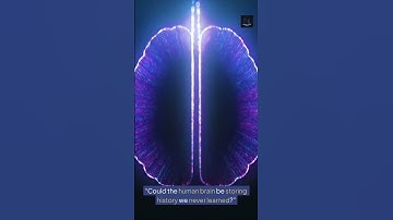 “Some brains remember what libraries have forgotten. 🧠 #DarkCodeDaily”