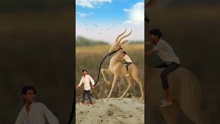 Mind-Blowing Photography Hack! 🤯 #shorts #creative #photography