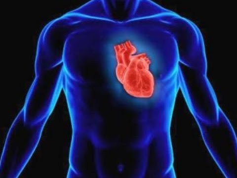 Антиокс+Vision