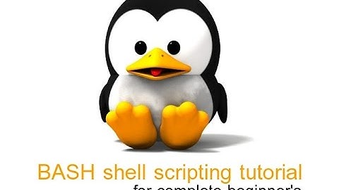 Linux bash scripting tutorial for beginners