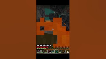 These Skeletons Are Something Else #gaming #shorts #funny #minecraft