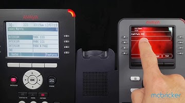 Park n Page J169 J179  Avaya IPOffice McBricker