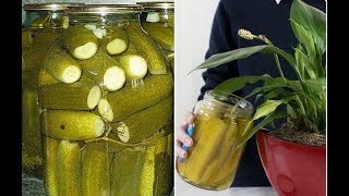 Вот почему выливать в раковину огуречный рассол – непростительная расточительность Вот почему выливать в раковину огуречный рассол – непростительная расточительность