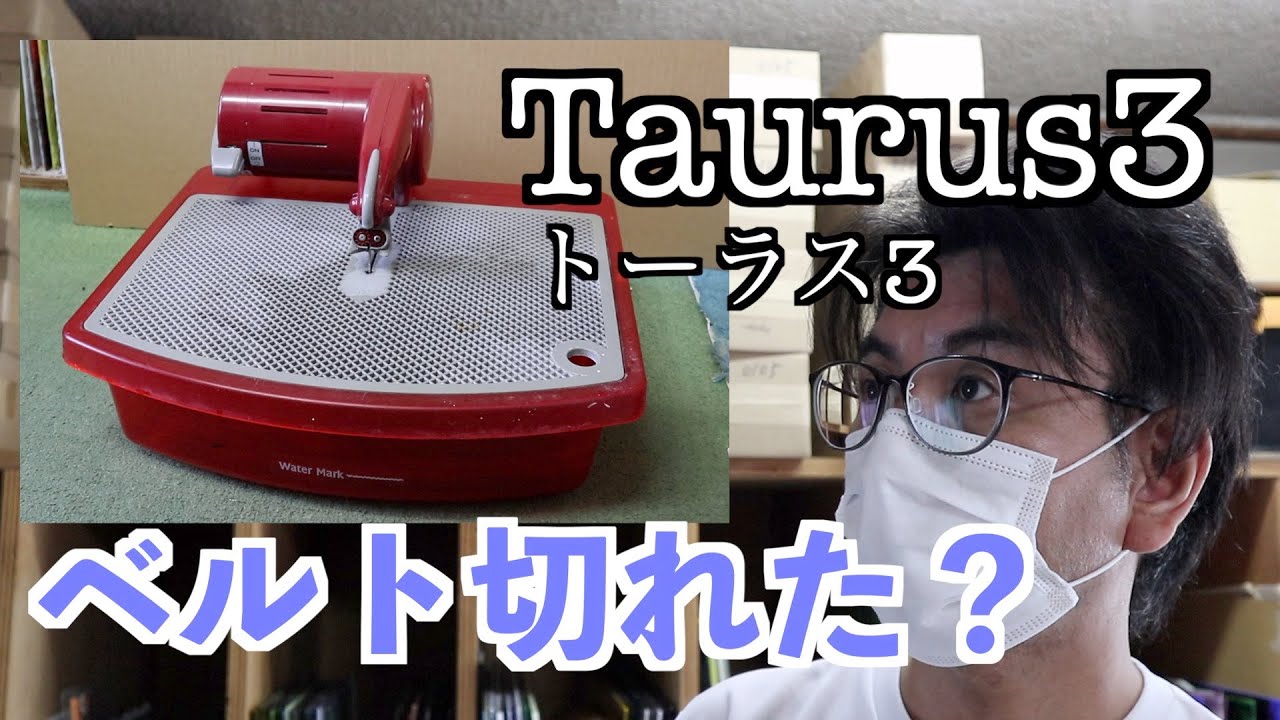 Taurus3 repair request [Stained glass] - YouTube