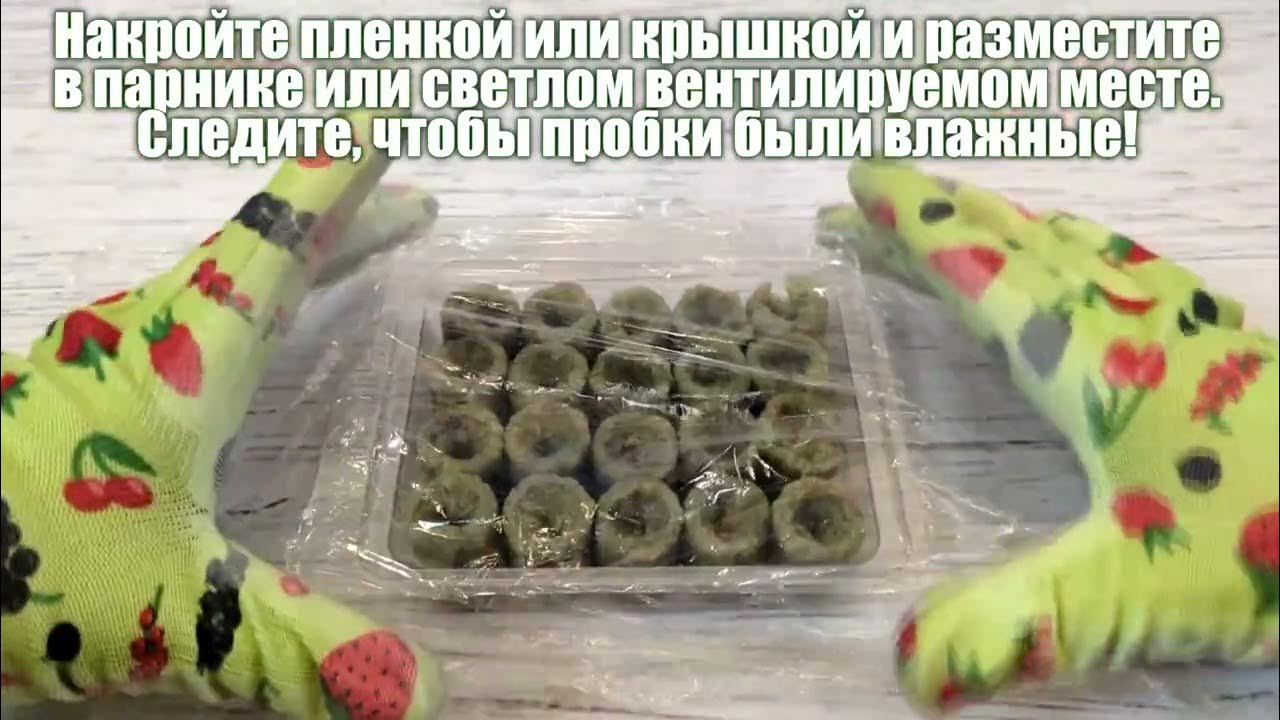 Пробки для проращивания семян из минераловаты - YouTube