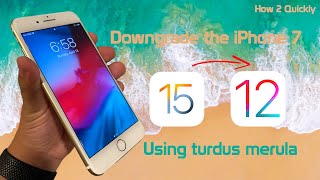 How 2 Quickly: Downgrade an iPhone 7 Using turdus merula