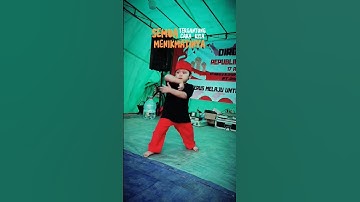 Hanif Silat #youtubeshorts #shorts #viral #pencaksilat