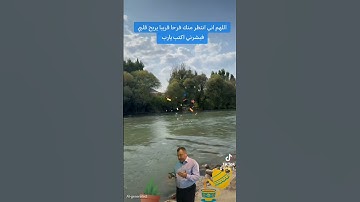 القرآن الكريم #اكسبلور #المصحف #لايك #تيك_توك #المراره #دويتو #البخل #ترند