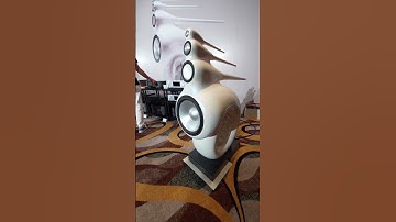 香港高級音響視聽展 2023年8月11日 b&w 鸚鵡螺。