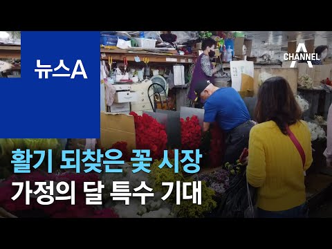 어버이날 앞두고 활기 되찾은 꽃 시장…가정의 달 특수 기대 | 뉴스A