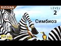 Zippy the Zebra: Learn Russian with subtitles - Story for Children &quot;BookBox.com&quot;