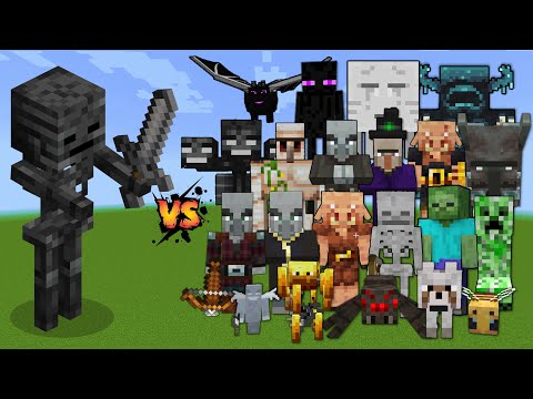 Wither Skeleton vs