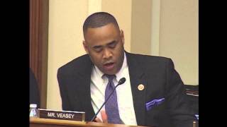 2013.12.04 - Rep. Marc Veasey (D-TX) - Questions to the Witness Panel