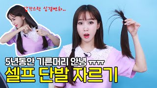 [셀프 단발머리 자르기]5년 기른머리 부엌가위로 잘라봄..Cutting my own hair