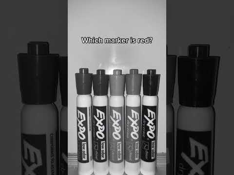 Which marker is RED? #expo #markers #fyp #foryou #intuitiontest #sharpie  #intuition #challenge 