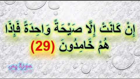 إن كانت إلا صيحة واحدة فإذا هم خامدون _ من سورة يس