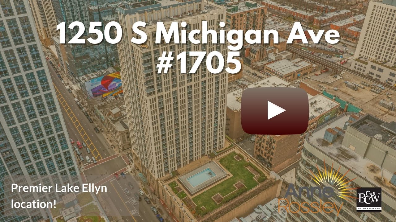 South Loop one bedroom condos for sale-1250 S Michigan Ave 