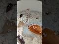 Cooking plain polao.#mycooking #cookingisfun #polao #cookingrecipes #cookingvideo #cookingchannel