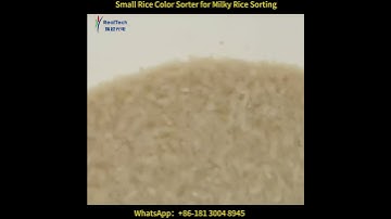 Chalky Rice Color Sorting Machine-RealTech S32
