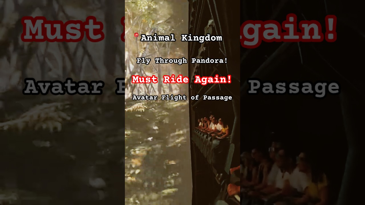 Avatar Flight of Passage | Must Ride Again!! 