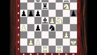 Chess Strategy: Evolution of Chess Style #98 - Alexander Alekhine vs Efim Bogoljubov - Game 16 1934