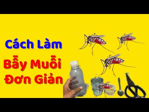 #1 Cách làm bẫy muỗi đơn giản bằng chai nhựa – Làm vườn cùng Bác sĩ cây trồng Mới Nhất