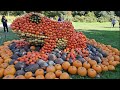 Pumpkin art as you&#39;ve NEVER seen before | Pumpkinfestival Ludwigsburg 2022