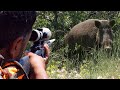 Top DANGEROUS BOAR Hunts, FEARLESS Dogs, Extreme Close-Up Rifle Shots #hunting #wildlife