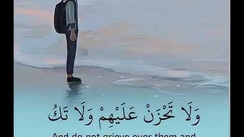 تلاوات عطره #القرآن_الكريم واصبر وماصبرك الا بالله #حملة#فلسطين #تلاوات #تلاوة_خاشعة#راحة