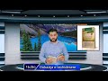 Romane Dersija 16.deo Akida-Verujibe Dokazija e tevhidesere.. Enis Muhamed &amp; Omer Idrizovič