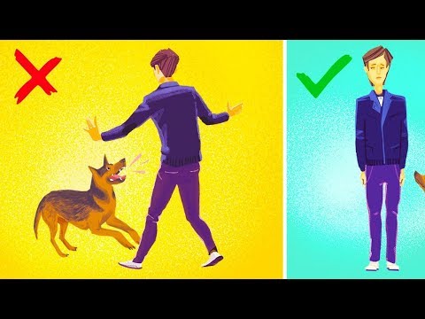 فيديو: ماذا تفعل إذا هاجم كلب