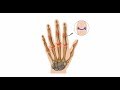 Romatoid artritte kullanılan tetkikler (Sedimantasyon, CRP, RF)