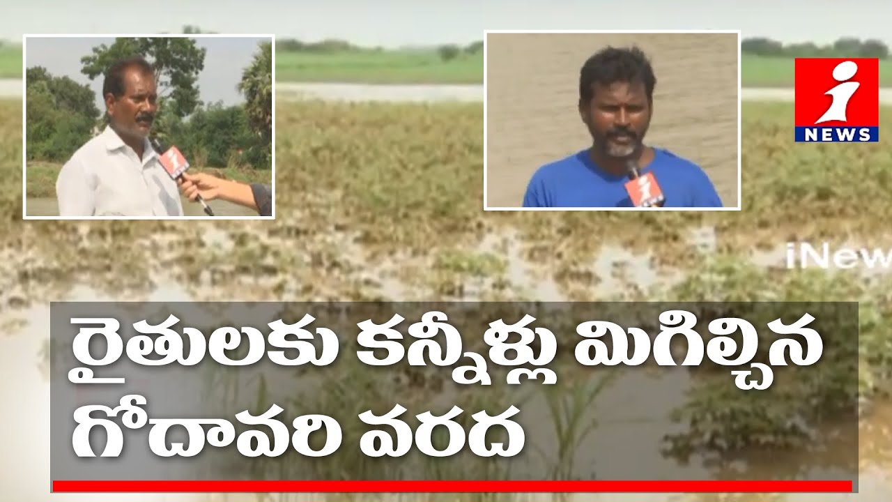 top movies on netflix రైతులకు కన్నీళ్లు మిగిల్చిన గోదావరి వరద | Crops Submerged In Godavari Floods | Khammam | iNews