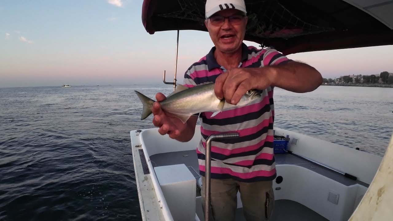BOĞAZIN LÜFERİ İSTANBUL MARKASI OLDU , Lüfer Merasını Yoklamanın Zamanı Geldi.