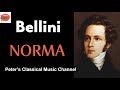 Capture de la vidéo Norma - Vincenzo Bellini
