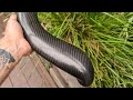 Carbon fibre skinning BMW K1100 cafe racer builds air duct