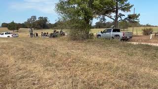 Pulling donkeys from ditches