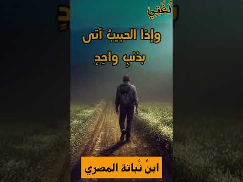 جاءت محاسنه بألف شفيع ابن نباتة المصري