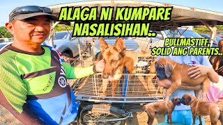 PARANG SHOWTYPE GSD KINALABASAN NG MGA ANAK..