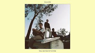 Wallows - Hurts Me (Official Audio)