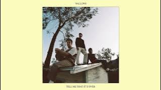 Wallows - Hurts Me (Official Audio)