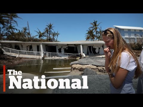 Video: Pasangan Ini Membuat Foto Pertunangan Mereka Di Hurricane Irma 